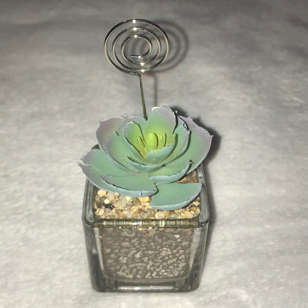 Francesca’s Picture Holding Succulent!